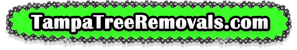 Tampa
                  (Hillsborough County) Tree Removal